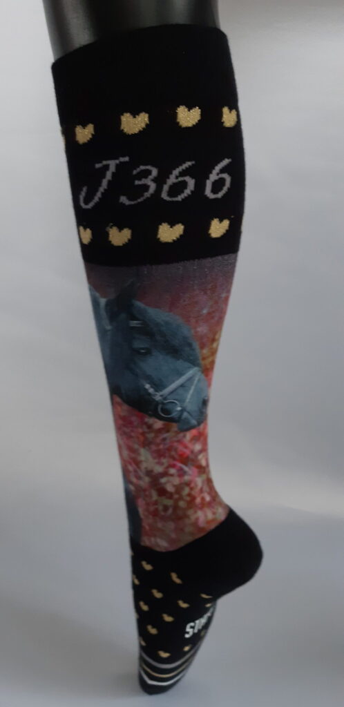 Jasper 366 sokken 2 paar